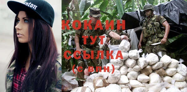 гашик Белоозёрский