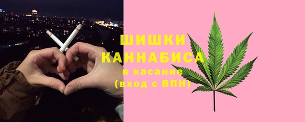гашик Белоозёрский