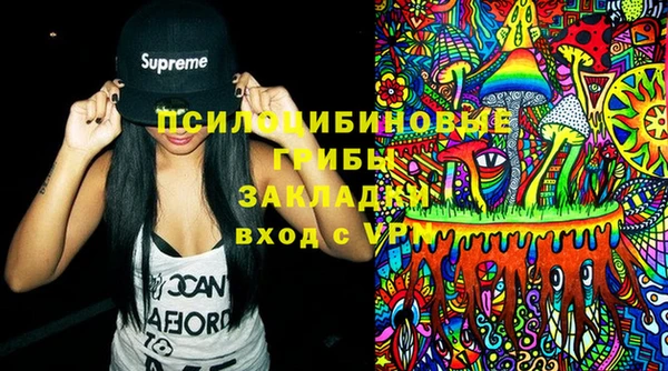 ГАЛЛЮЦИНОГЕННЫЕ ГРИБЫ Беломорск