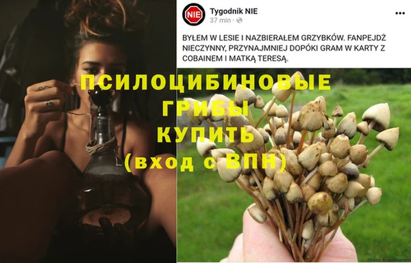 ГАЛЛЮЦИНОГЕННЫЕ ГРИБЫ Беломорск