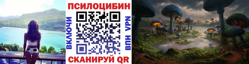 Купить где  Миньяр  Псилоцибиновые грибы MAGIC MUSHROOMS 